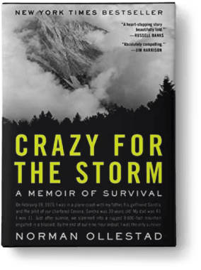 Cover artwork for Crazy for the Storm